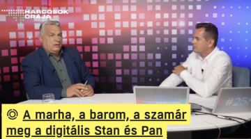 képernyőkép 2025 07 29 052215