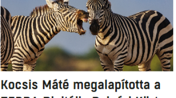 képernyőkép 2025 08 03 060111