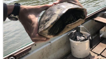 képernyőkép 2025 08 13 194757