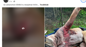 képernyőkép 2025 08 26 184610