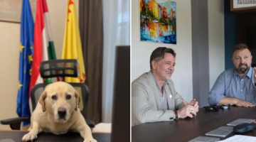 képernyőkép 2025 08 27 202934