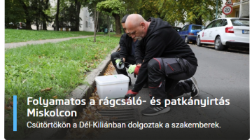 képernyőkép 2025 10 09 190028