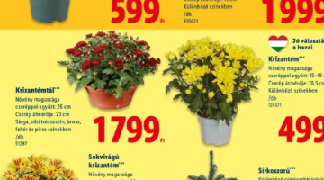 képernyőkép 2025 10 14 055248