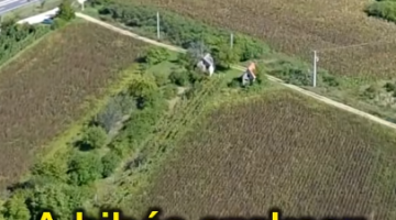 képernyőkép 2025 11 10 172230