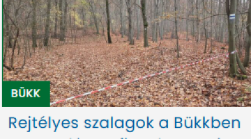 képernyőkép 2025 11 13 143948