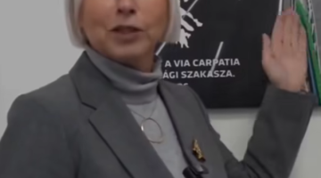 képernyőkép 2025 12 17 063643