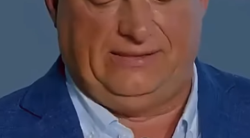 képernyőkép 2025 12 27 164704