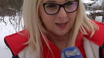 képernyőkép 2026 01 11 061628