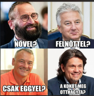 képernyőkép 2026 02 13 160429