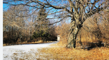 képernyőkép 2026 02 28 172916