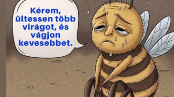 képernyőkép 2026 03 05 074014