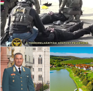 képernyőkép 2026 03 13 200213