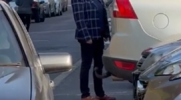 képernyőkép 2026 04 12 201228