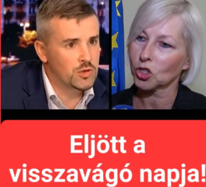 képernyőkép 2026 04 13 063007