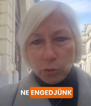 képernyőkép 2026 04 22 060510