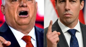 képernyőkép 2026 04 23 194502