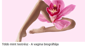 képernyőkép 2026 04 27 061640