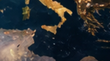 képernyőkép 2026 04 29 114635