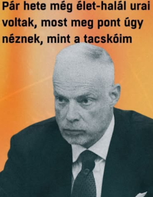 képernyőkép 2026 05 16 062216