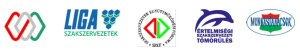 képernyőkép 2026 06 10 091701