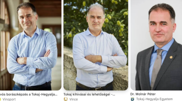 képernyőkép 2026 06 27 094056