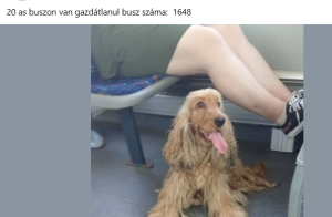 képernyőkép 2026 06 27 120201