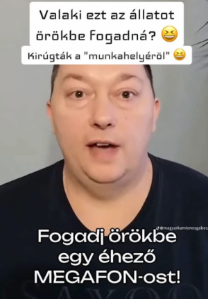képernyőkép 2026 06 28 190651