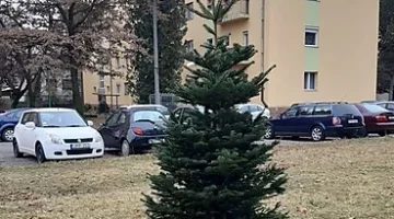 kilian_eszak_kozossegi_karacsonyfa_1