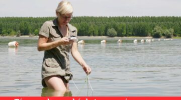 kisbanner-jobbsav-paks-eszter