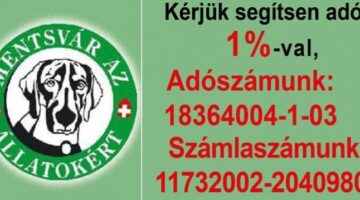 kutya_28511