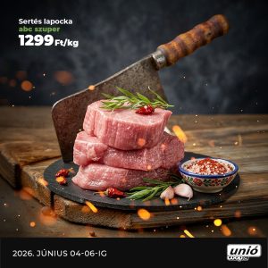 lapocka 23