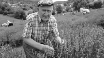 levendula_gyuribacsi_200704ml-9