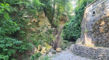 lillafured vizeses kiszarad ncs