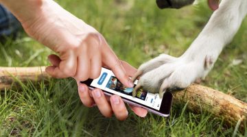 magyar fejlesztes az allateledel piacon itt a top dog market applikacio 7190 1024x681