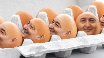 meszaros_tojas_szalmonella_focuspointscale_w800_h450_fx0_fy0