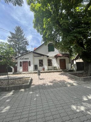 n1132356