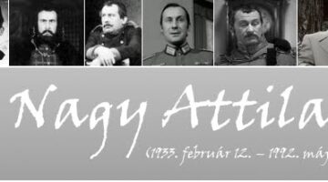 nagyattilaszinsz