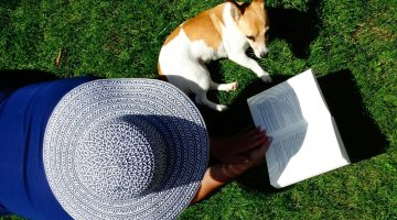 nyári sikerlista fűben olvasás pexels