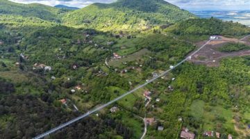 oip (1)