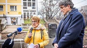 pdsz_sajttaj_211210_hcs-7