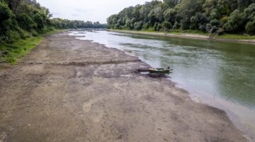 pen2-tiszai-kiszaradas-240823