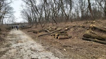 pentek-goromboly-utepites-vita-230428-768x512