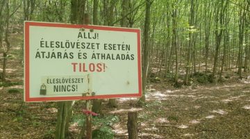 pilis erdo elesloveszet min 768x576