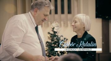 polgi2-1024x572-1-653x365