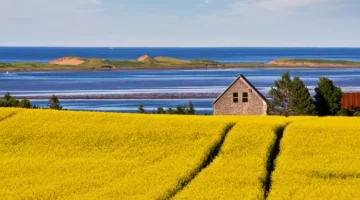 prince-edward-island-springbrook-CAPEITRAIL0122-392a32d0d7934e5b94f80d4e2b0fd05a