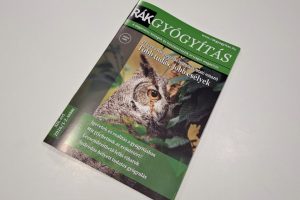rakgyogyitas az alternativ modszerek nem valodi alternativak 11013 1024x683