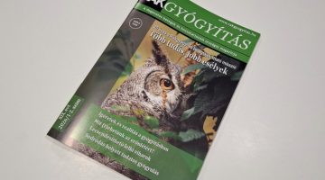 rakgyogyitas az alternativ modszerek nem valodi alternativak 11013 1024x683