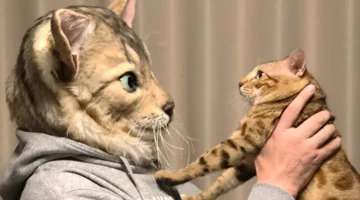 realistic-cat-heads-designboom-1