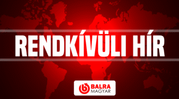rednkivul-seo