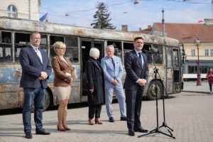 rozsdas termeszetes miskolc